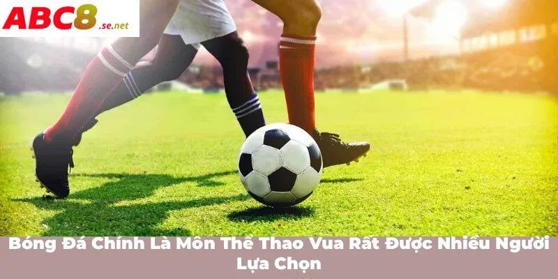 Bóng đá chính là môn thể thao vua rất được nhiều người lựa chọn